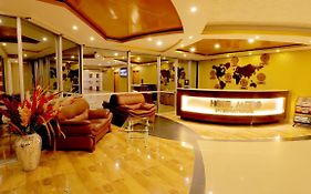 Hotel Metro International